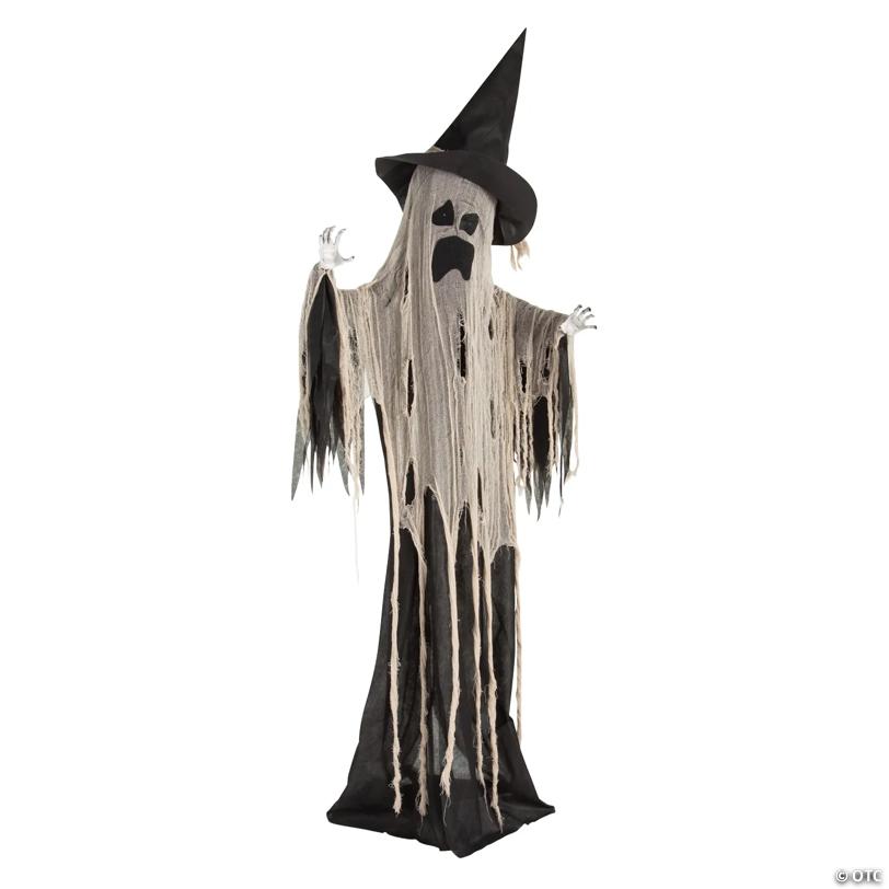 Animated Standing Witch Ghost Halloween Decoration