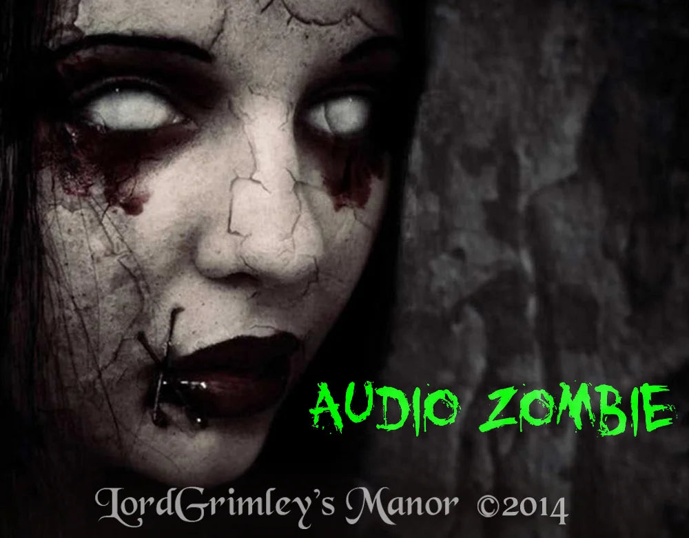 The Asylum Royalty Free Music CD