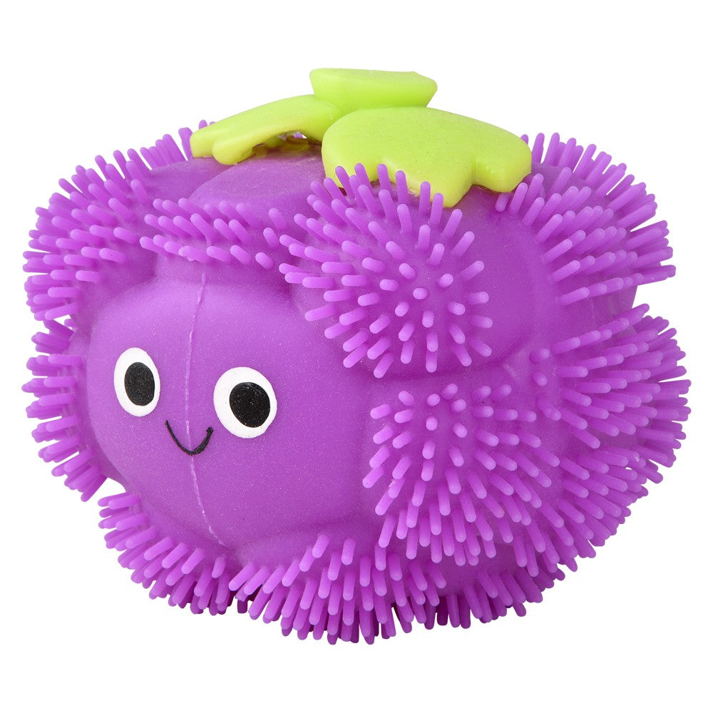 Puffer Fruit Squeeze Toys (12 PC Display)