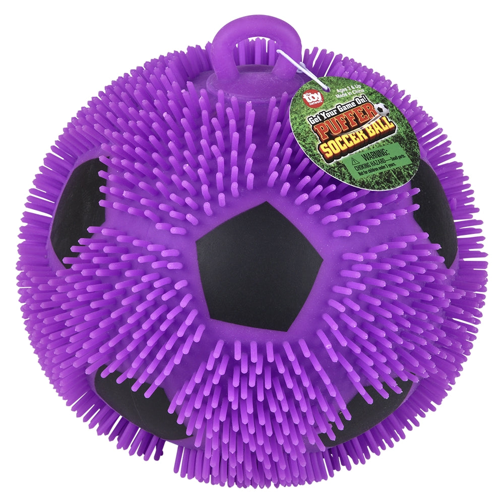 Puffer Soccer Ball (1 DSP)
