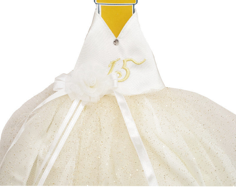 Ivory Glitter Quinceañera Champagne Bottle Dress – Pack of 3