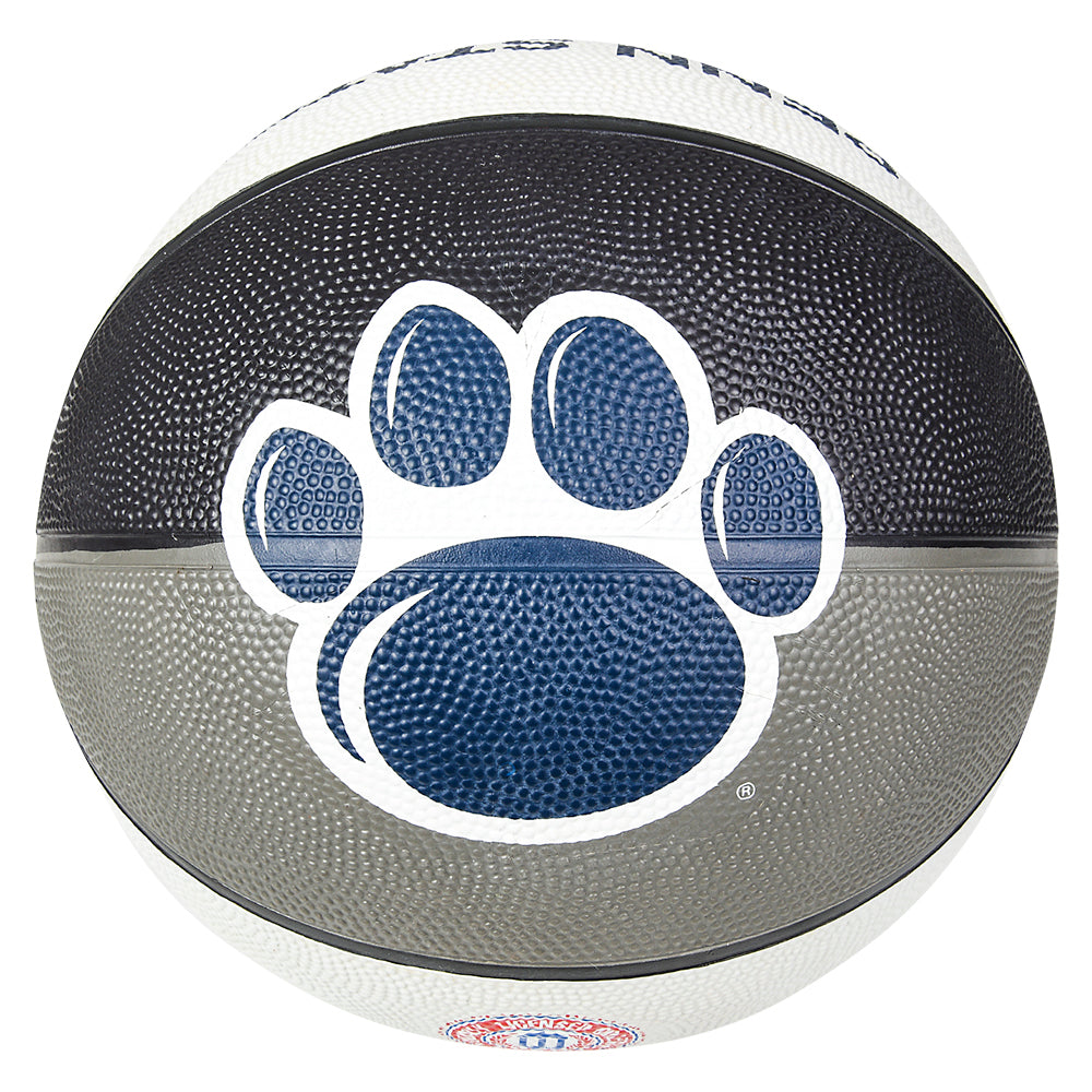 Penn State Regulation Basketball (1 PC)