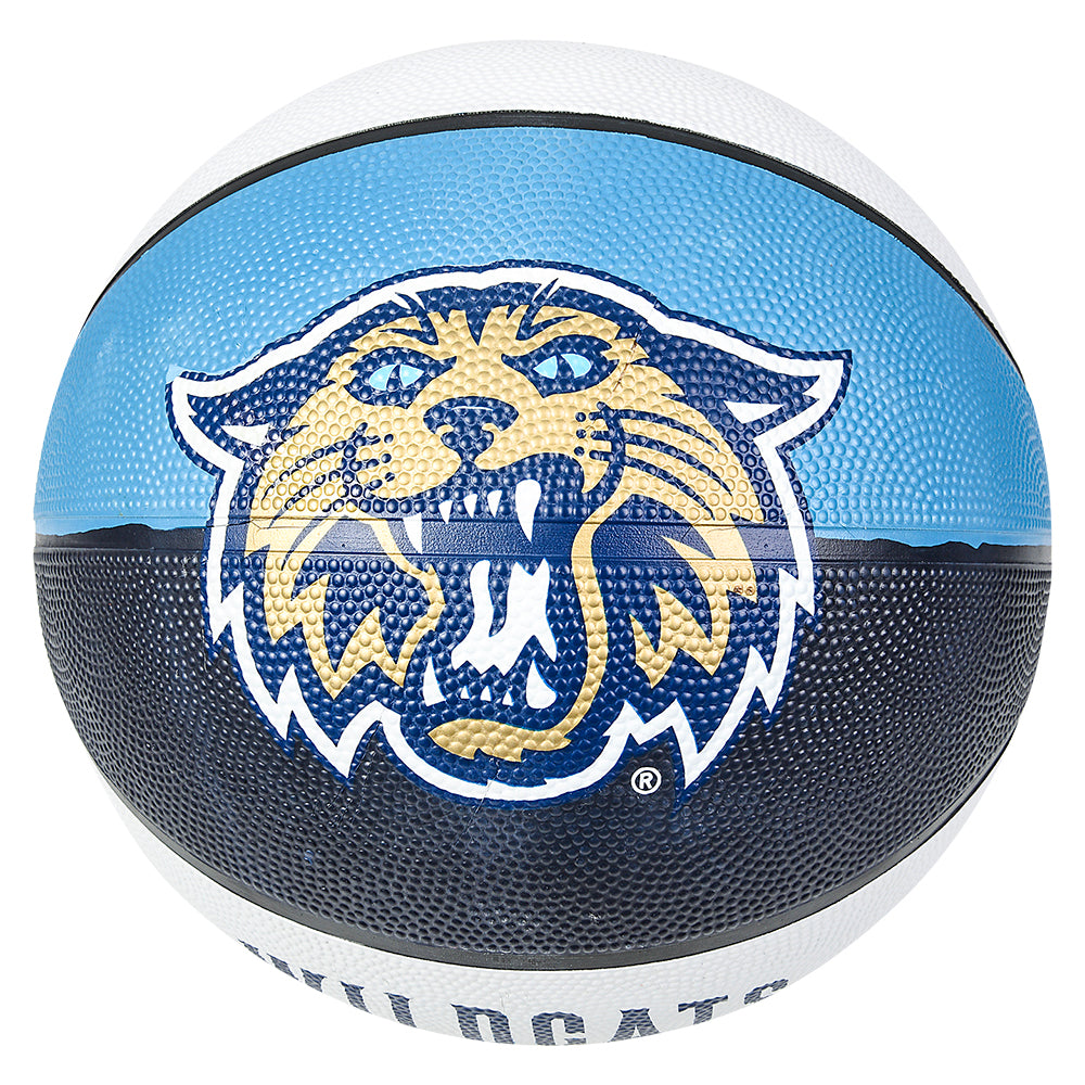 Villanova Basketball 9.5" Regulation Ball