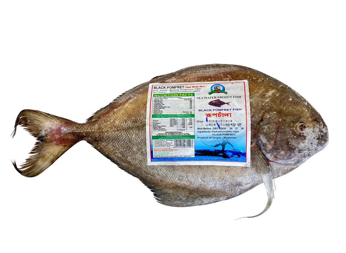 Black Pomfret - 1 KG