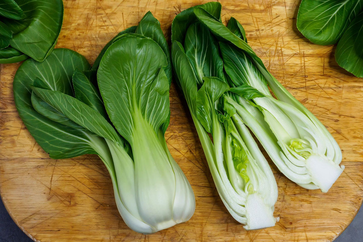 Napa Cabbage (Chinese Cabbage)