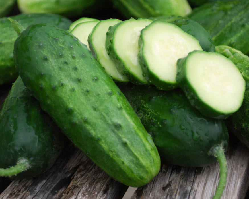 Pickling Cucumbers