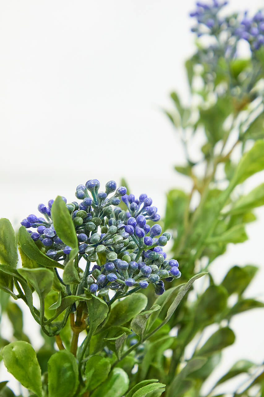 17" Boxwood Berry Bush x9