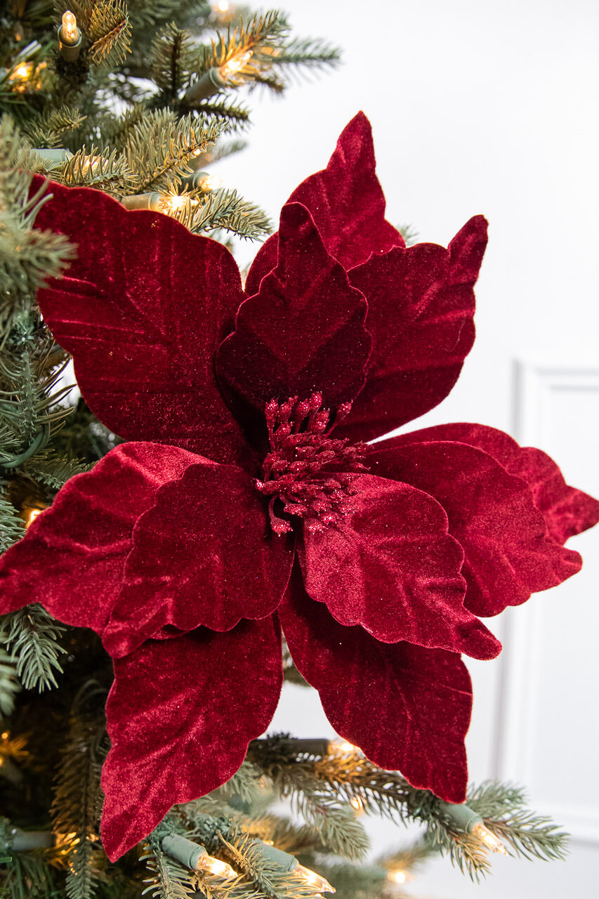 22" x 13" Burgundy Poinsettia Stem
