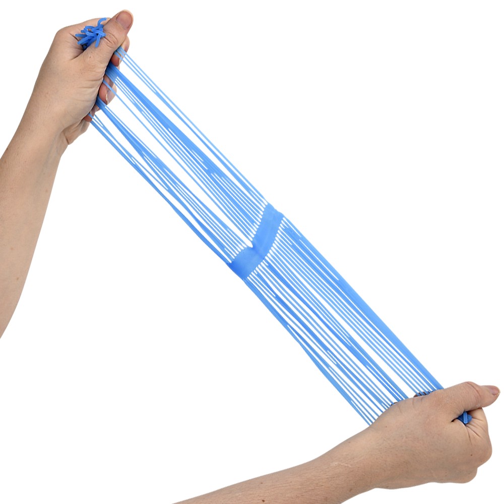 Stretchy Noodles Fidget Toy (1 DSP)