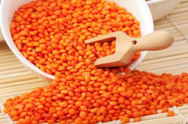 HOQUE MASOOR DAL / RED LENTILS ( 7 LB)