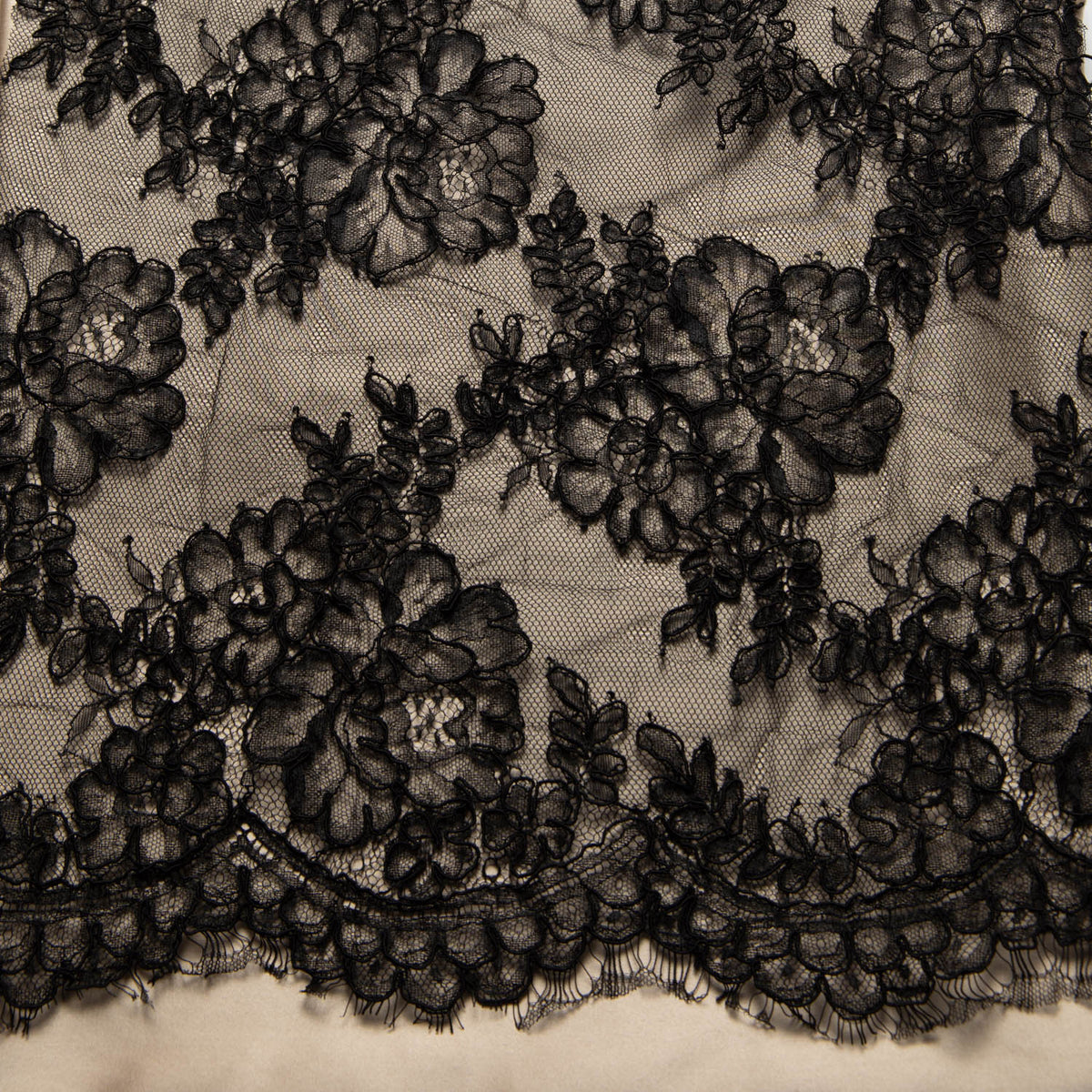 1 Yard Elegant Corded Chantilly Lace Fabric with Embroidered Floral Design, 54" Wide