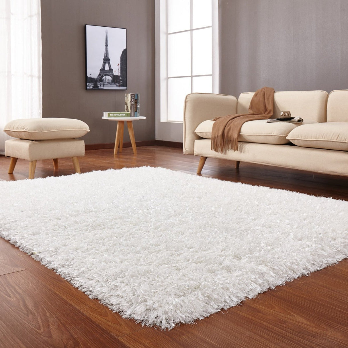 Hand-Tufted Luxe Shag Plush Rug Shag Rugs - Multicolored Plush Shag, 3" Pile (2' X 3')