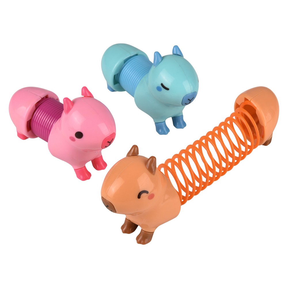 Capybara Coil Spring (12 PC Display)
