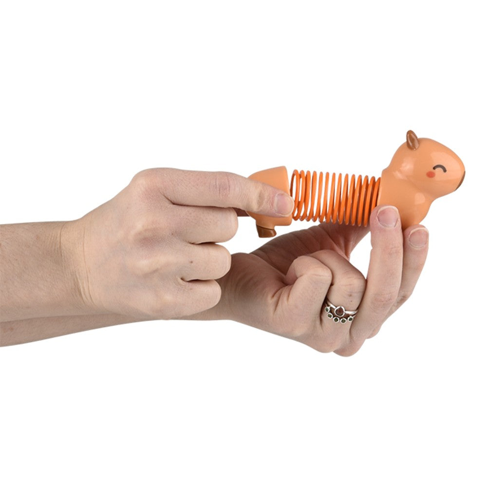 Capybara Coil Spring (12 PC Display)