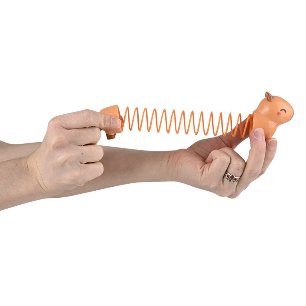 Capybara Coil Spring (12 PC Display)