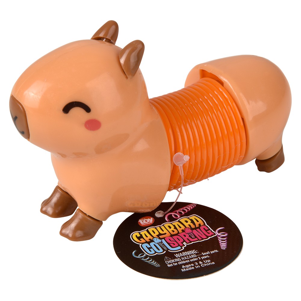 Capybara Coil Spring (12 PC Display)