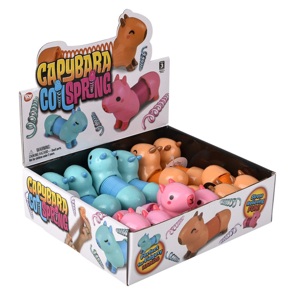 Capybara Coil Spring (12 PC Display)