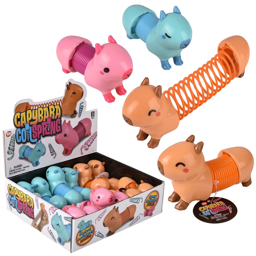 Capybara Coil Spring (12 PC Display)