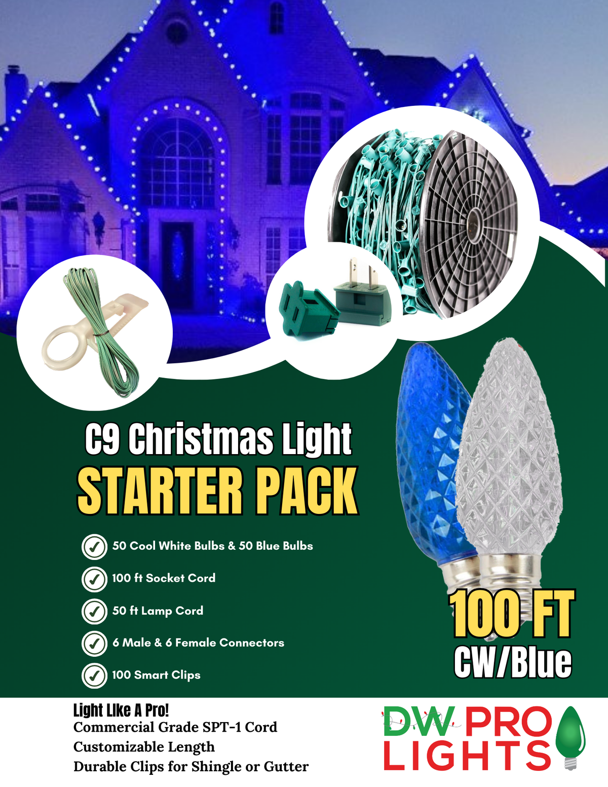100' Outdoor Christmas Lighting Kit - Cool White/Blue