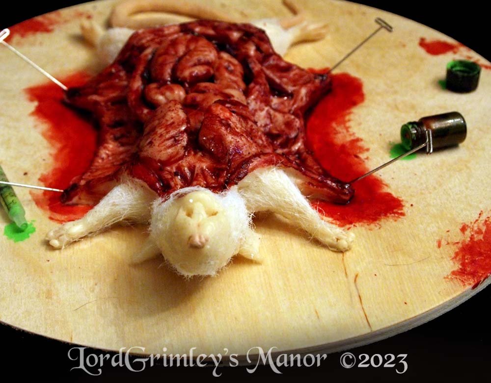 White Rat Autopsy Prop - The Bloody Organ Laboratory