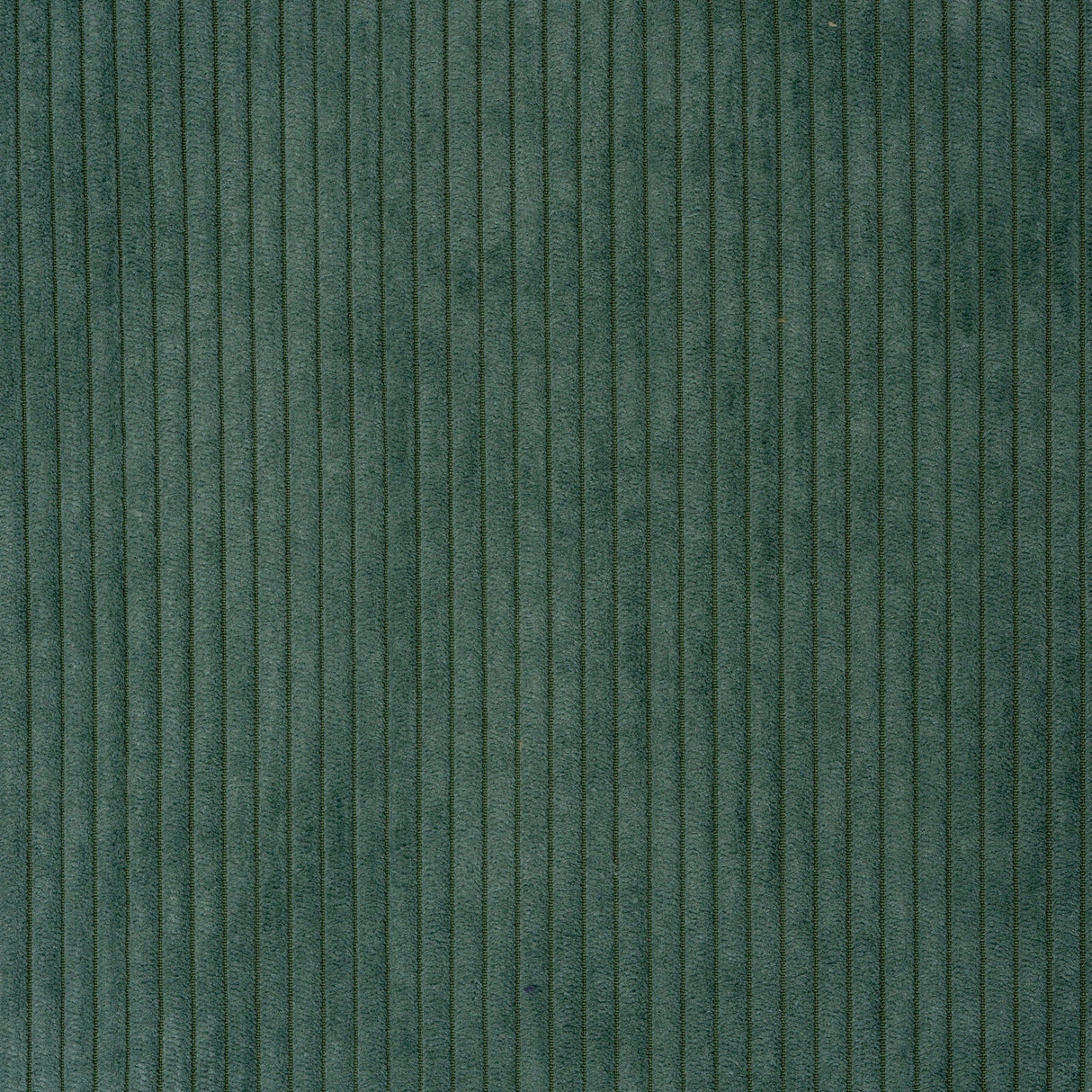 Chenille Velvet Corduroy Upholstery Fabric by the Yard
