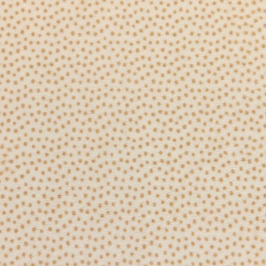 Minky Plush Dottie Cuddle Fabric Cream Sand Extra Wide