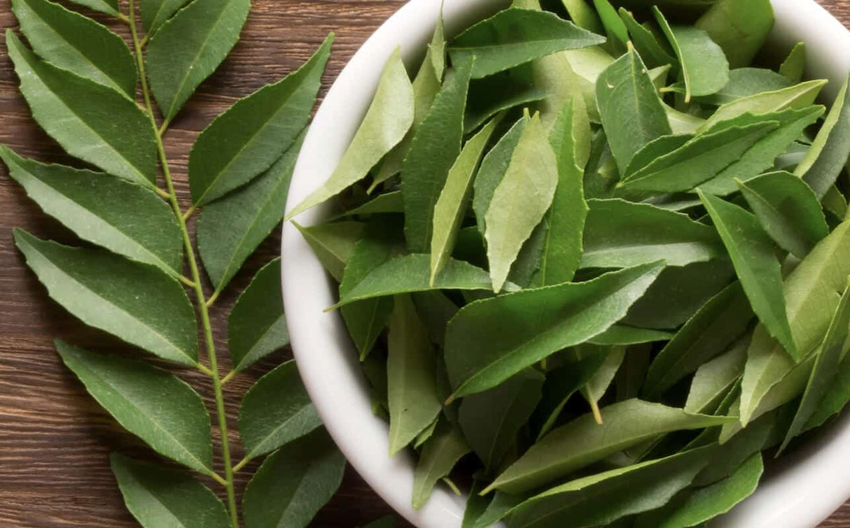 Curry Leaf 0.10lb