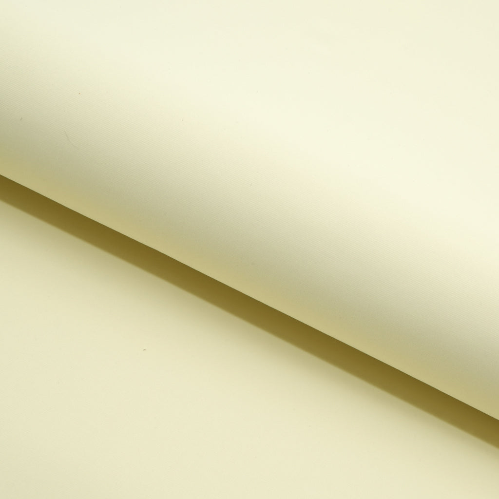 Delite Lightweight Nylon Spandex Fabric - Solid Color, 50" Width, 4-Way Stretch (1 Yard)