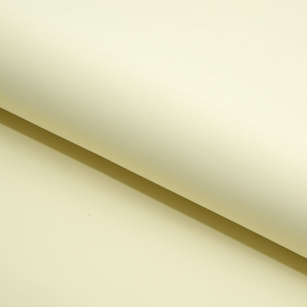 Lightweight Nylon Spandex Fabric