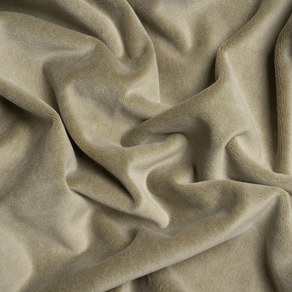 Cotton and Polyester Upholstery Velvet - Taupe - Banton Collection
