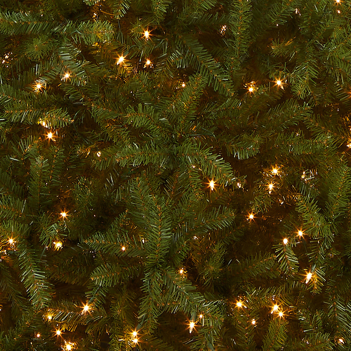 10ft Pre-Lit Dunhill Fir Christmas Tree with Clear LED Lights