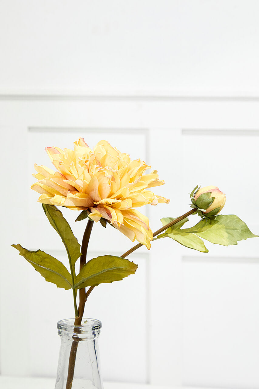 21" Dried Dahlia with Bud Stem
