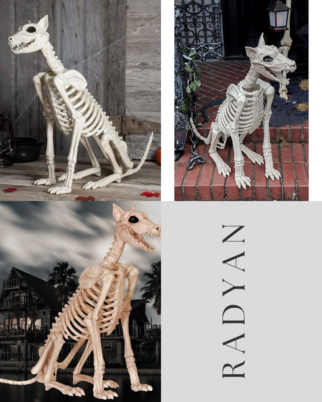 Doberman Skeleton Decoration