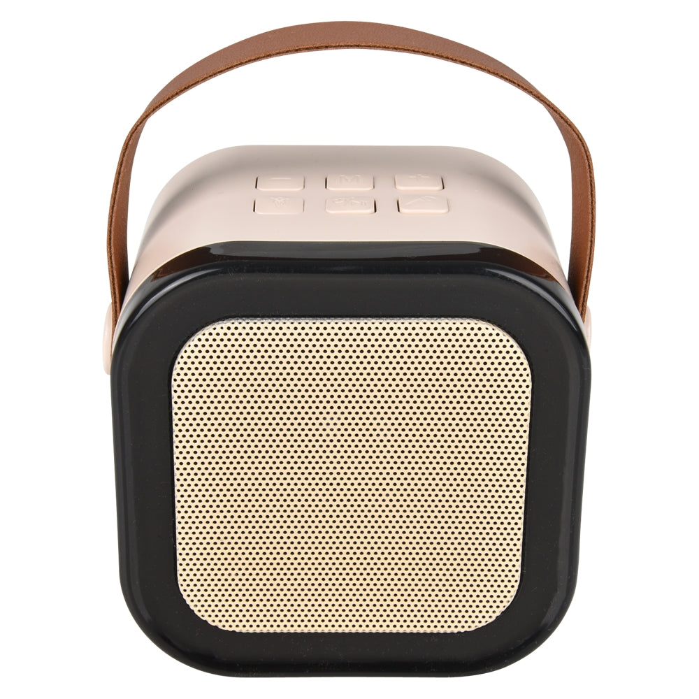 Wireless Karaoke Speaker with 2 Mics