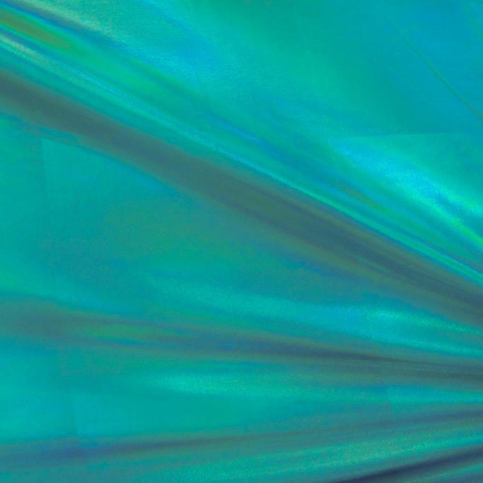 Foiled Spandex Holographic Black