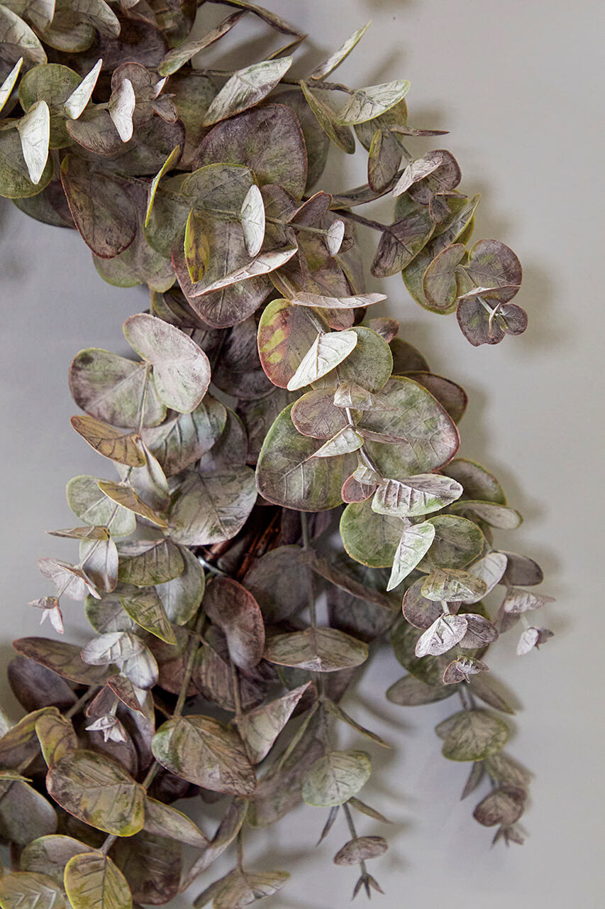 24" Eucalyptus Wreath