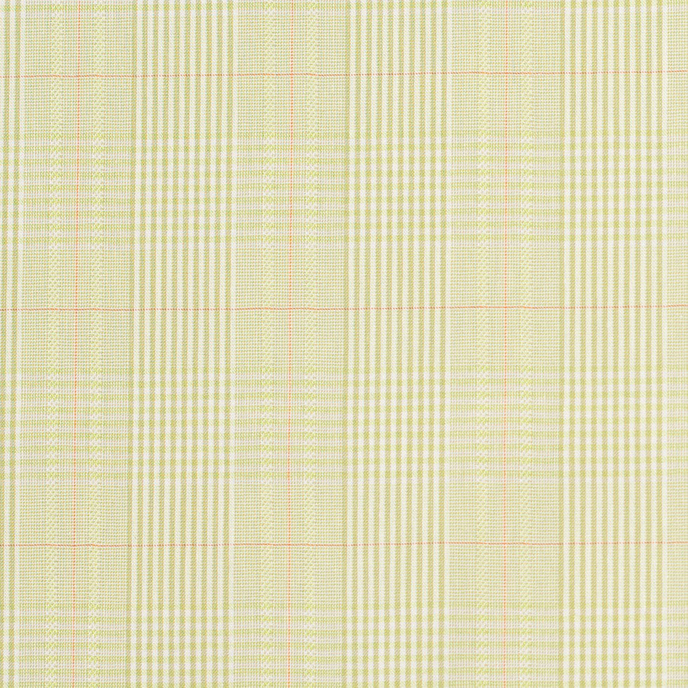 Kiwi Green and Off-White Plaid Cotton Blend Suiting