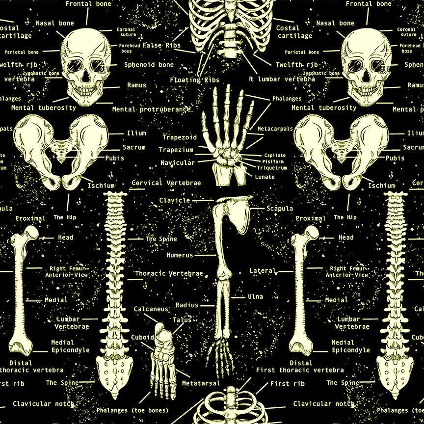 Cotton Glow in the Dark Skeletons Fabric Black 44/45"