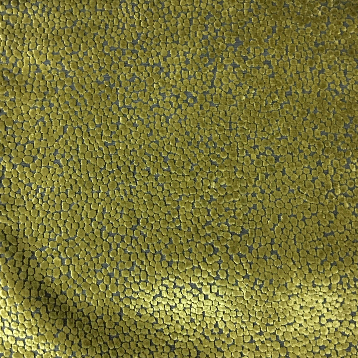 Burnout Velvet Upholstery Fabric Tuscany Dots