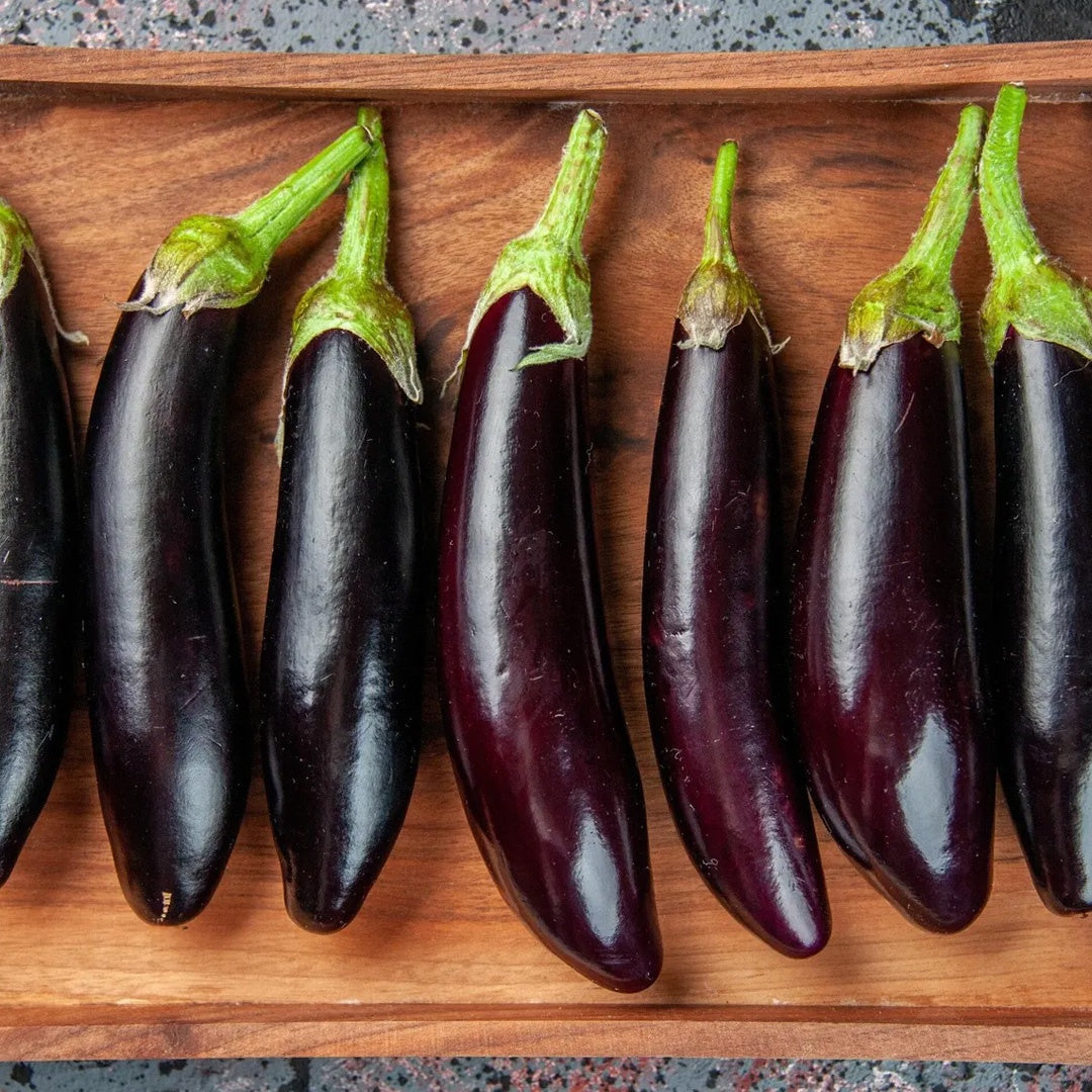 Fingerling Mix Eggplant Heirloom Seeds Good for Containers Patio and Balcony Organic Non GMO