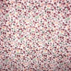 Mini Daisy Floral Poly Cotton Fabric - Fuchsia, Purple, Red, Royal Blue Daisy Print, 58/60" Width