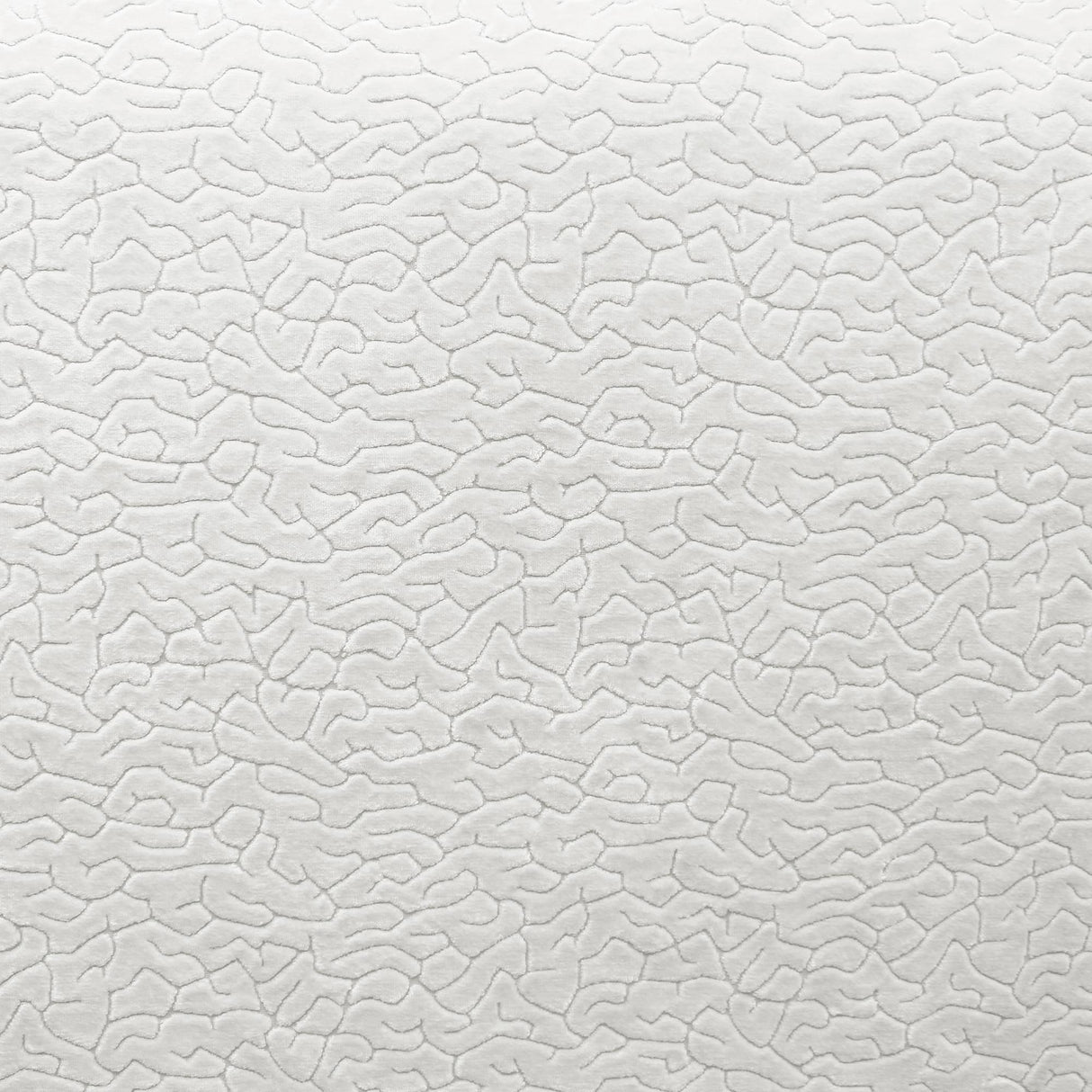 Galil Textured Velvet Fabric - Abstract Pattern, 55" Width (1 Yard)