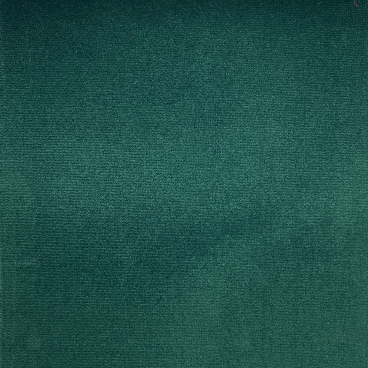 Giada Solid Velvet Fabric - Solid Indoor/Outdoor Velvet, 60" Width (1 Yard)