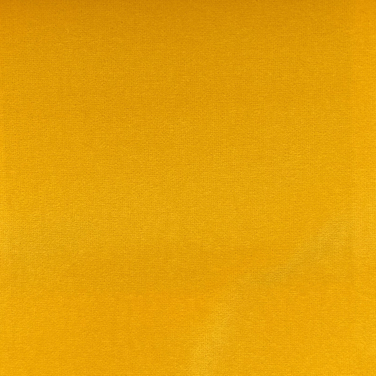 Giada Solid Velvet Fabric - Solid Indoor/Outdoor Velvet, 60" Width (1 Yard)
