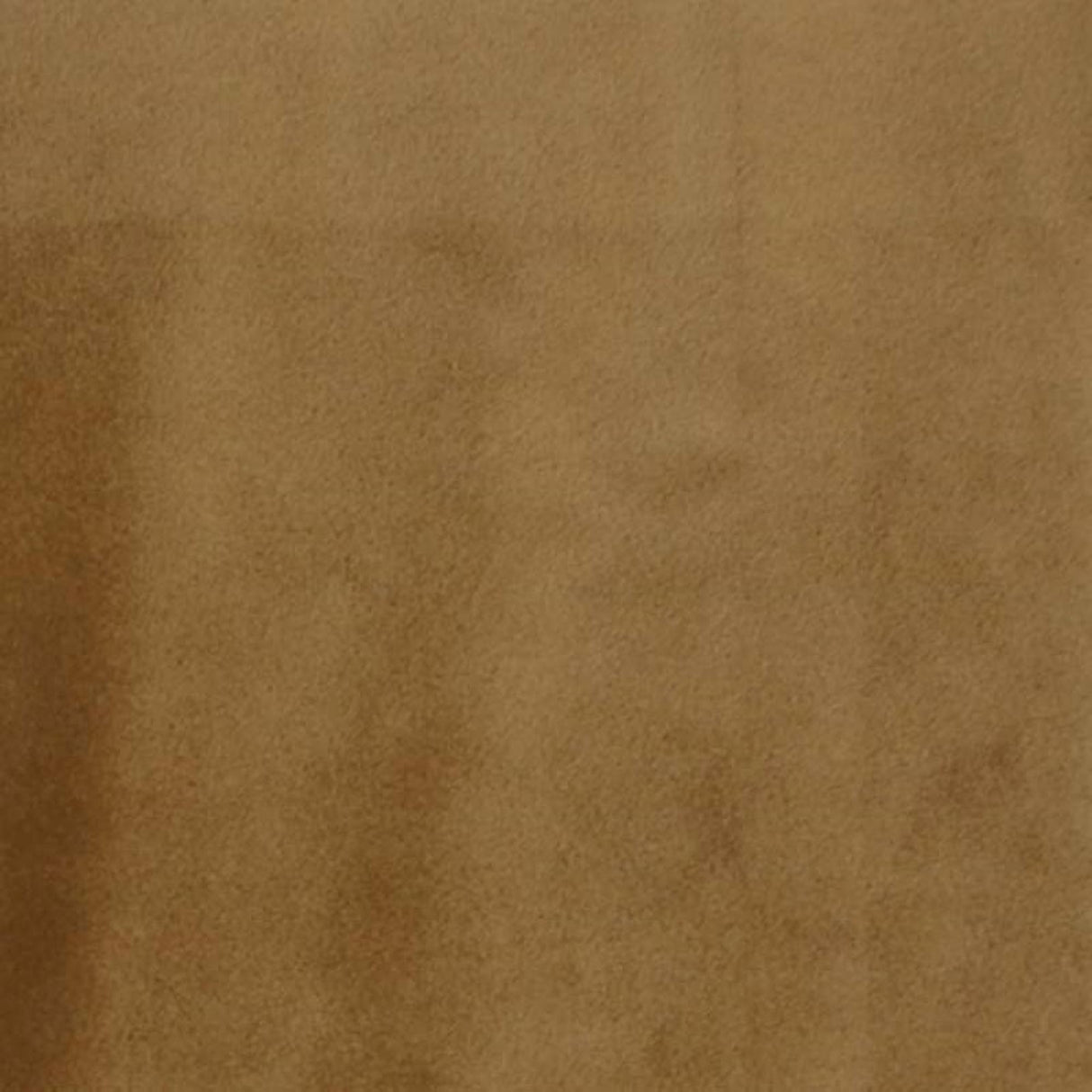 Gian Solid Shiny Velvet Polyester Fabric - Solid Shiny Velvet, 55" Width (1 Yard)