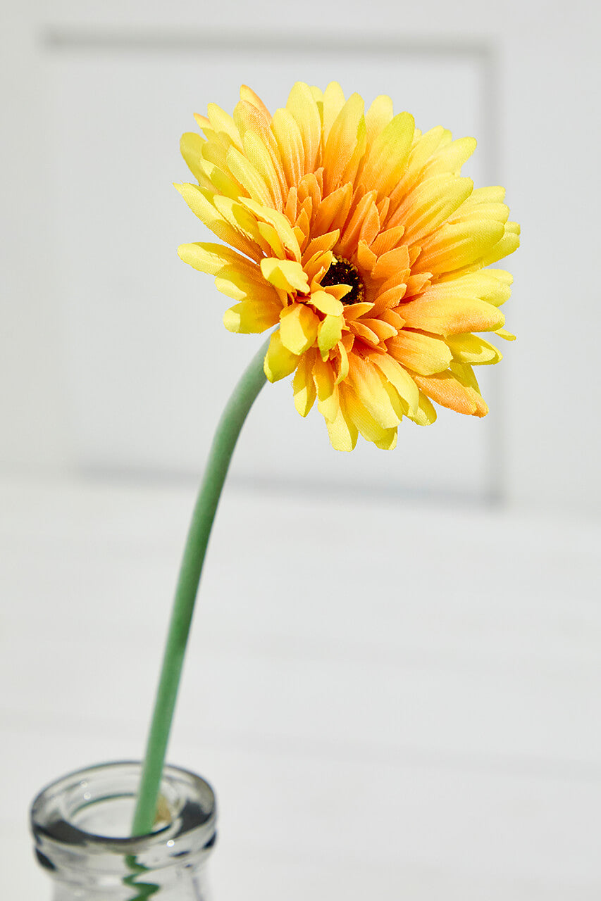 22" Gerbera Daisy Stem