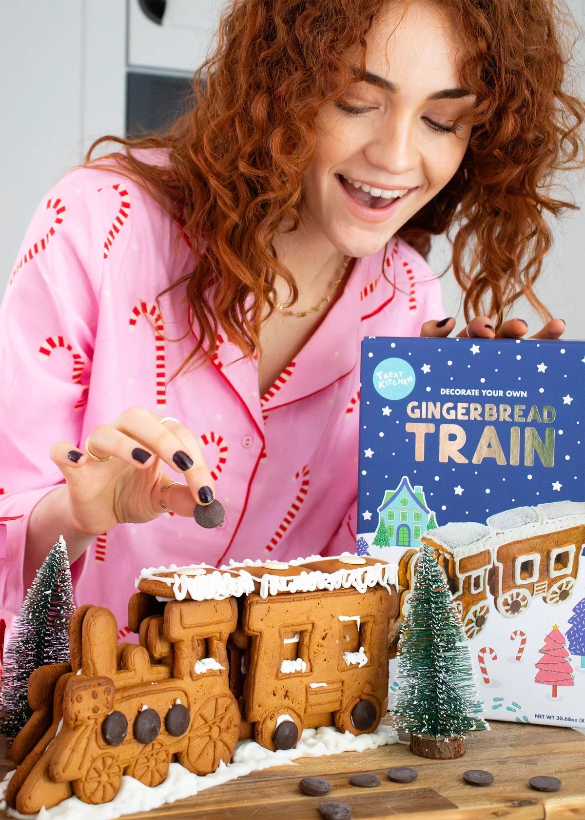 Gingerbread Train Decorating Kit by Treat Kitchen