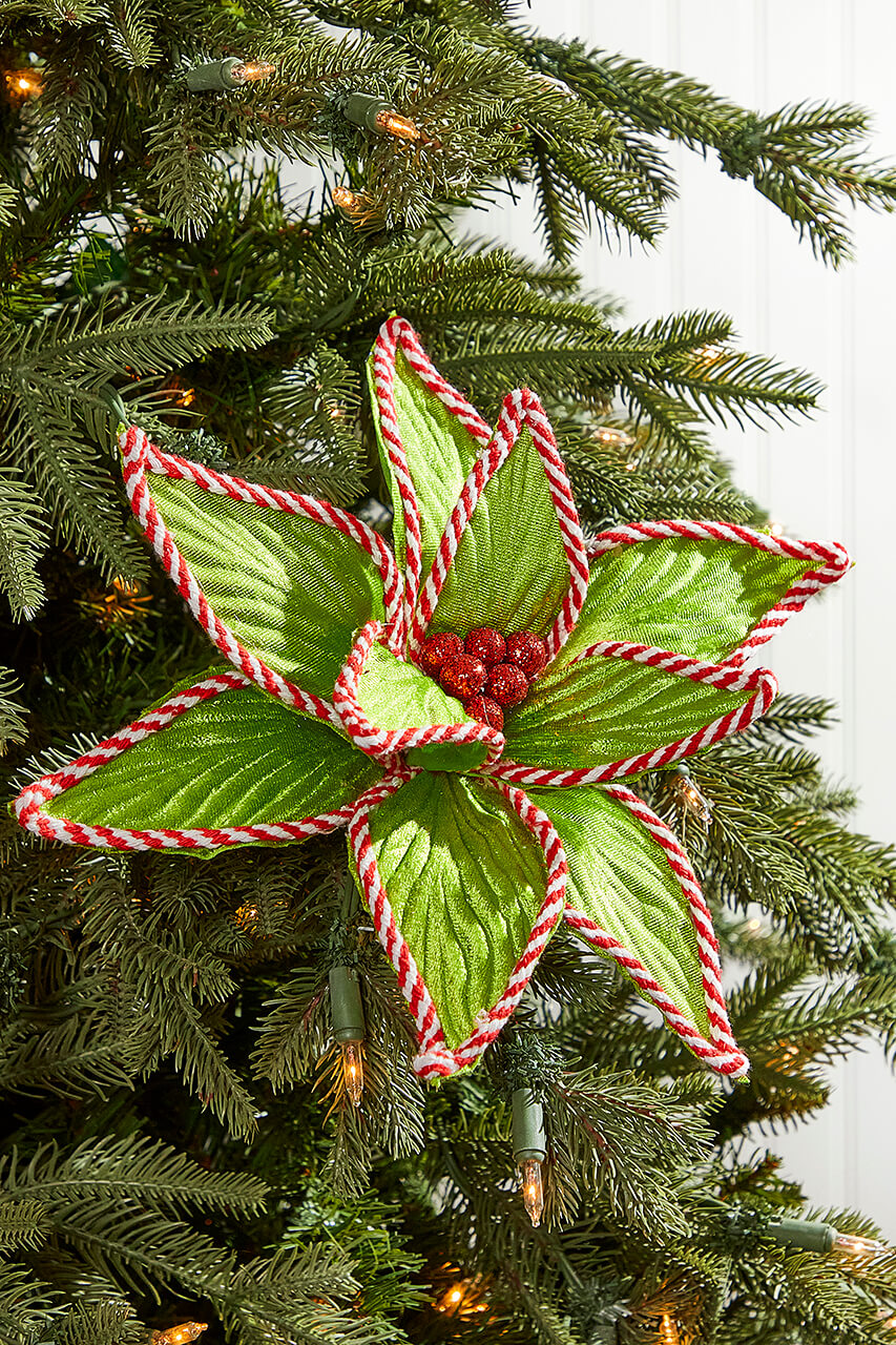 24” x 12" Green Peppermint Edge Poinsettia Stem