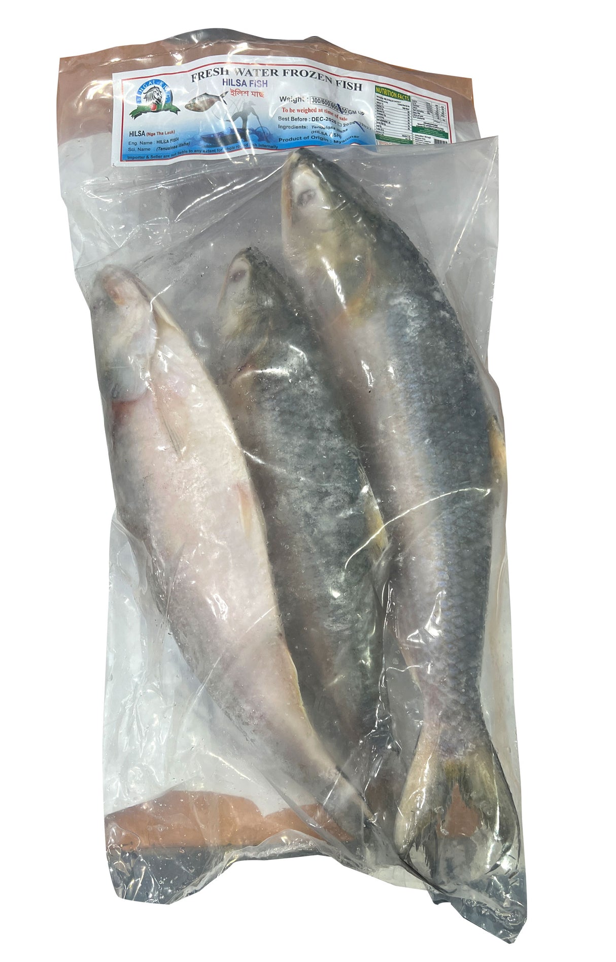 Hilsa 600/800G (3-PCS) – SAF