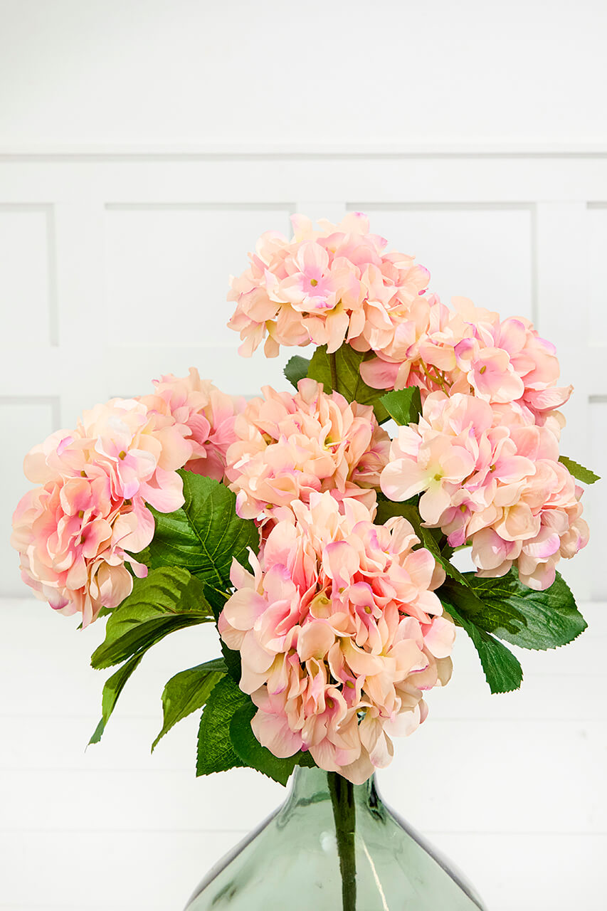 20.5" Peach Hydrangea Bush